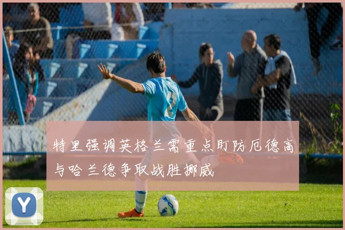 特里强调英格兰需重点盯防厄德高与哈兰德争取战胜挪威